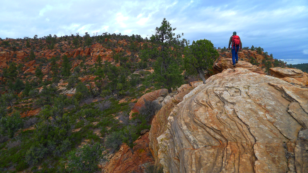P1110144x2