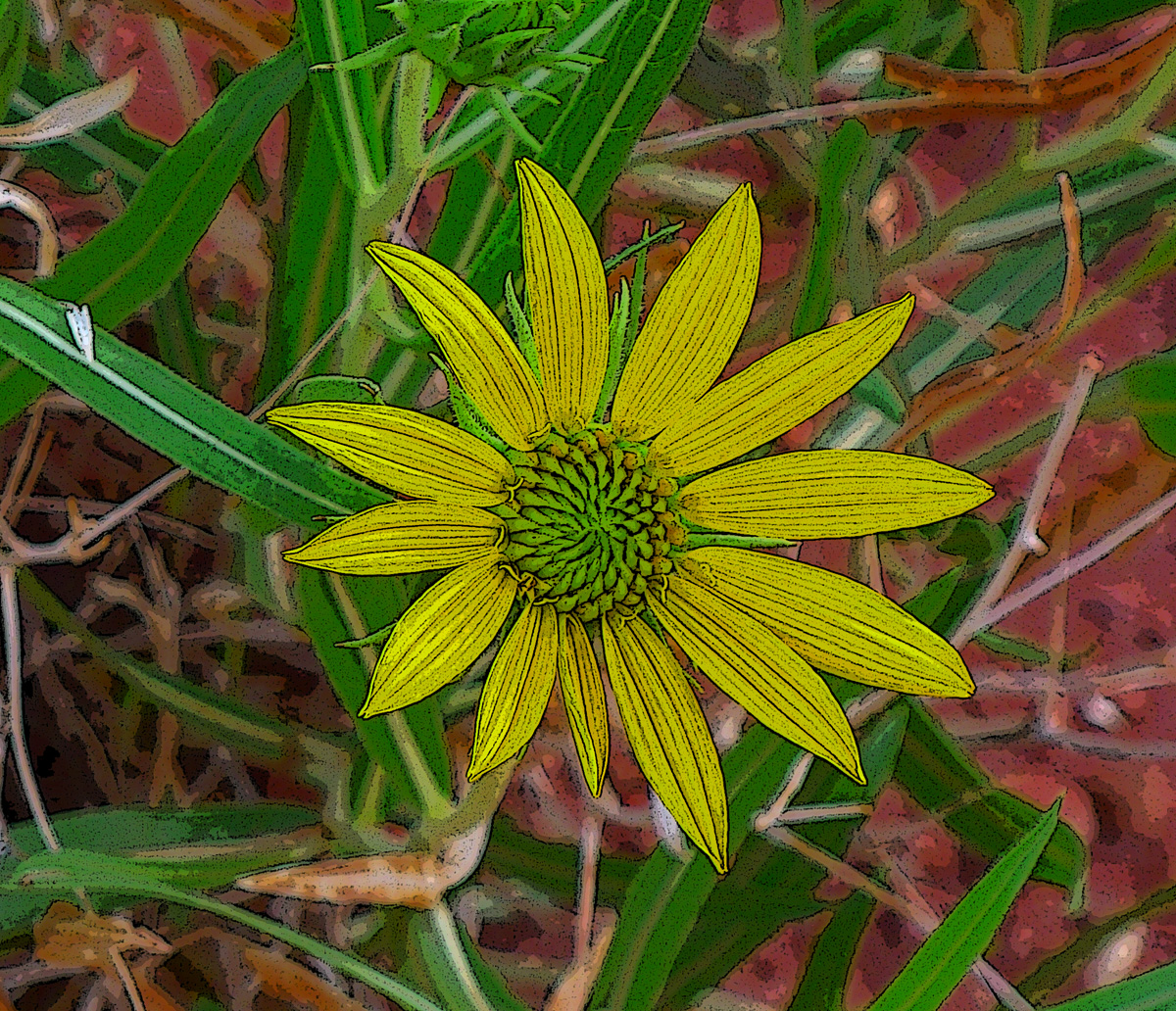 P1200014x