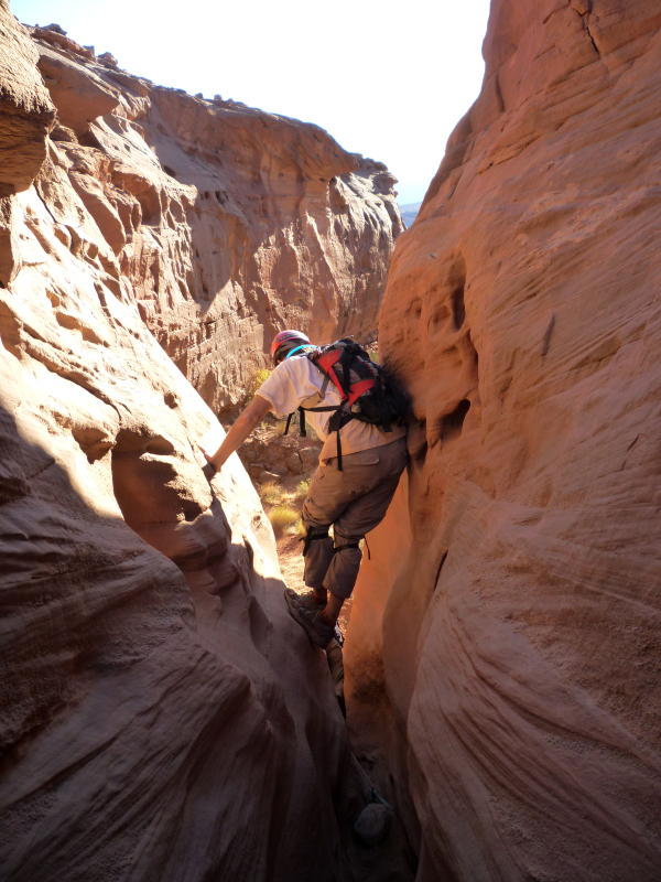 leprechaun climbing