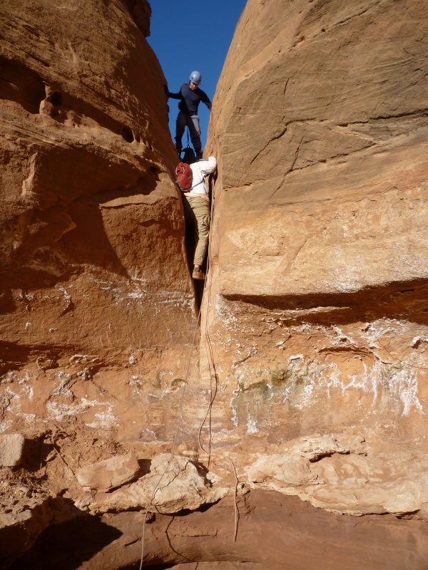 leprechaun climbing